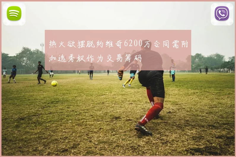 热火欲摆脱约维奇6200万合同需附加选秀权作为交易筹码
